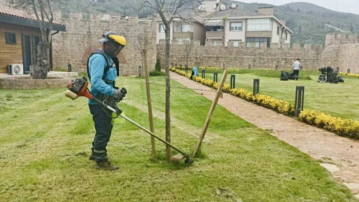 Körfez'de yabani otlar temizleniyor