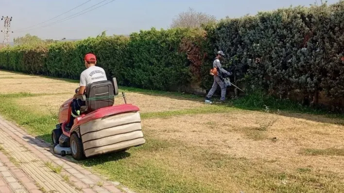 Körfez'de yeşil alanlarda bakım ve çim biçme çalışması