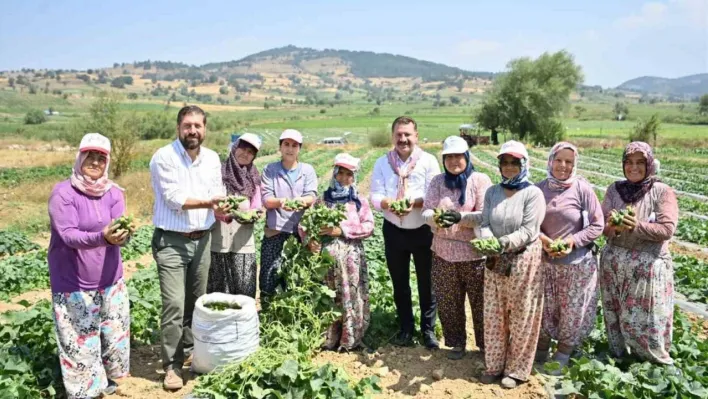 Kornişon salatası binlerce aileye ekmek kapısı oldu