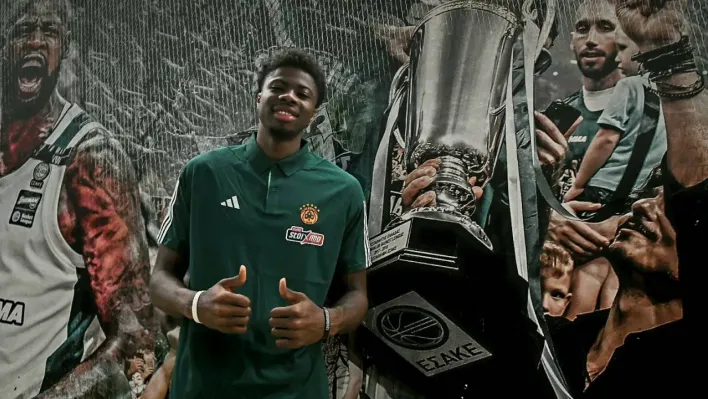 Kostas Antetokounmpo, Panathinaikos'ta