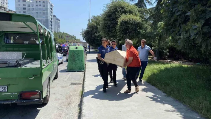 Küçükçekmece'de ağaçlık alanda ceset bulundu