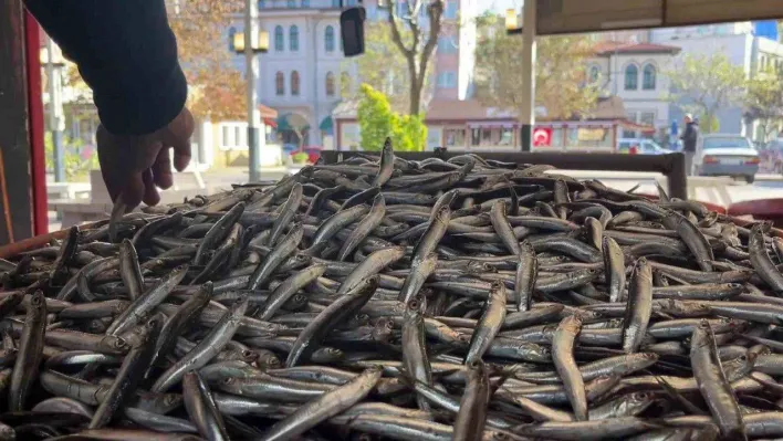 Kulağına kar suyu kaçan hamsiye yoğun talep