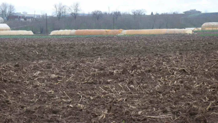 Kuraklığın tarıma etkisi