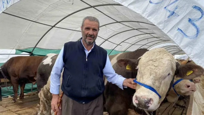 Kurban pazarında satışlar hızla devam ediyor