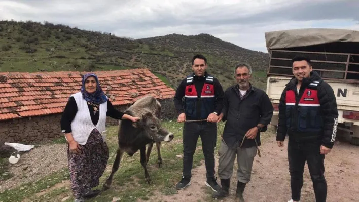 Kurbanlık hayvanı çalanları JASAT yakaladı