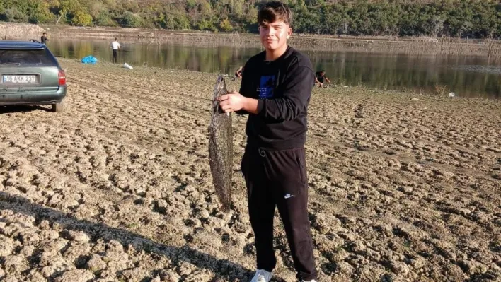 Kuruyan gölde yayın avı