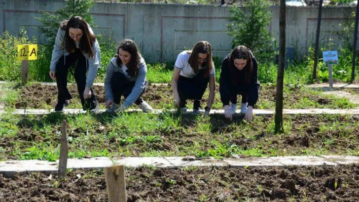 Lise öğrencileri hem alın terinin ekmeğini yiyor hem de bilinçleniyor