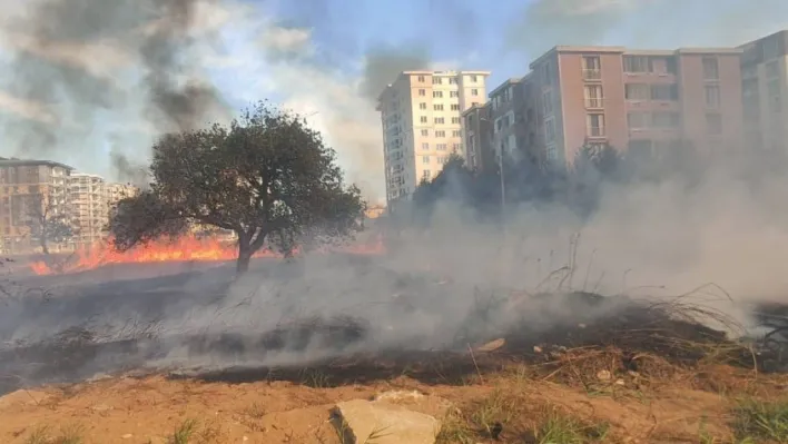 Mahalle arasında korkutan yangın