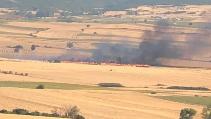 Malkara'da anız yangını: 200 dönüm buğday tarlası kül oldu