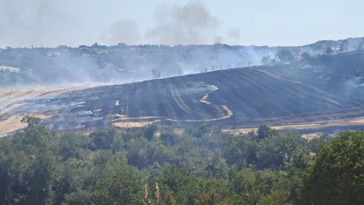 Malkara'da anız yangını 200 dönümlük arazide tahribata yol açtı