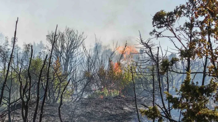 Malkara'da makilik alanda yangın