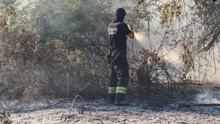 Malkara'da ormana sıçrayan anız yangını kontrol altına alındı