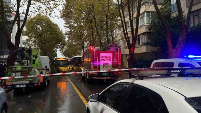 Maltepe'de ağacın otomobilin üstüne düşmesi kamerada