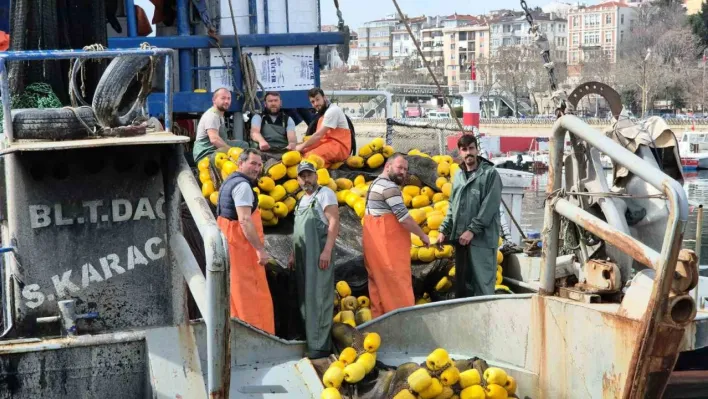 Marmara'da müsilaj erken paydos ettirdi