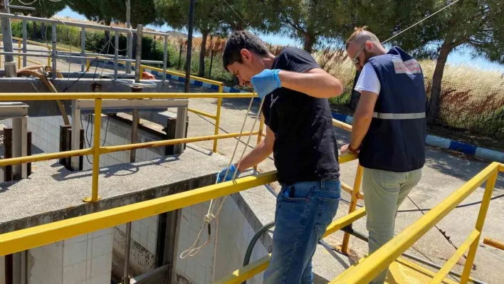 Marmara'da müsilaja karşı sıkı takip: 55 tesis kapatıldı, 822.5 milyon lira ceza kesildi