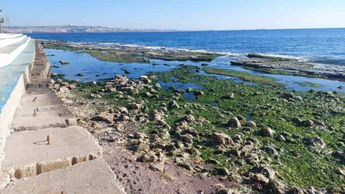 Marmara Denizi 25 metre çekildi: 'Depremle alakası yok'