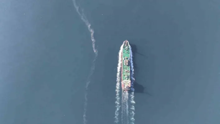 Marmara Denizi'nde korkutan görüntü