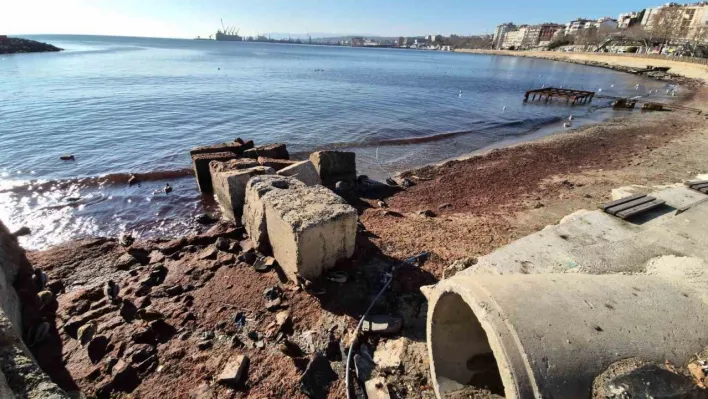 Marmara Denizi'nde lodos sonrası kıyılara kızıl yosun vurdu