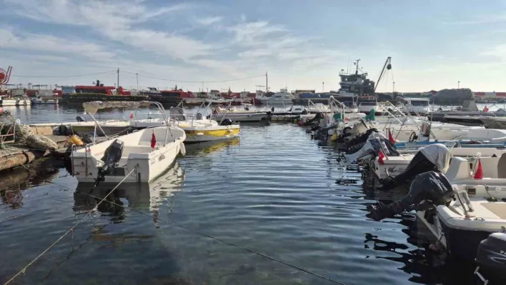 Marmara Denizi'nde müsilaj yeniden ortaya çıktı