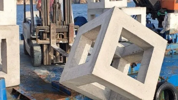 Marmara Denizi'ne 4 yılda toplam 699 resif atıldı