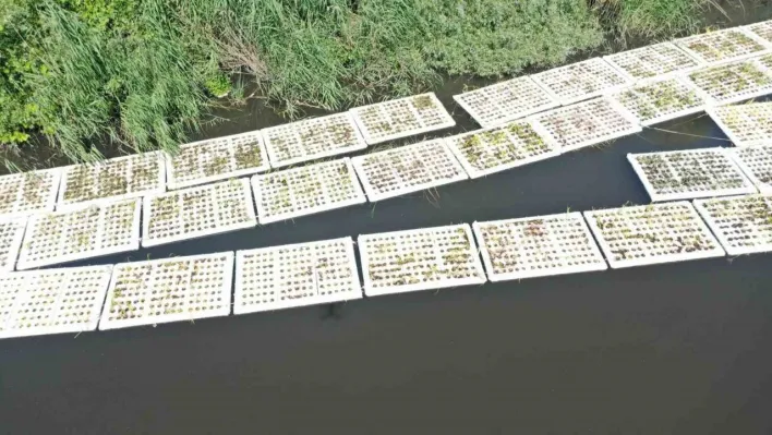 Marmara Denizi'ni besleyen derelerde 'Yüzer Ada Projesi' hayata geçirildi