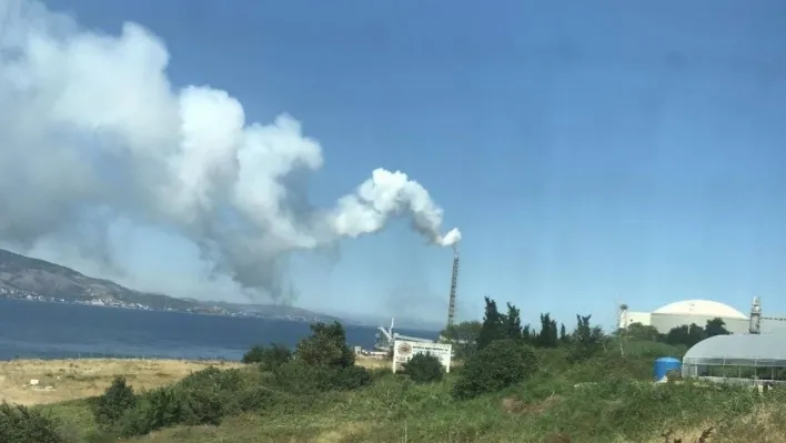 Marmara'ya hem havadan hem denizden deşarj devam ediyor