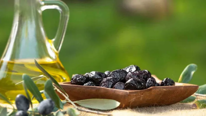 Marmarabirlik'ten 761 milyon liralık ödeme