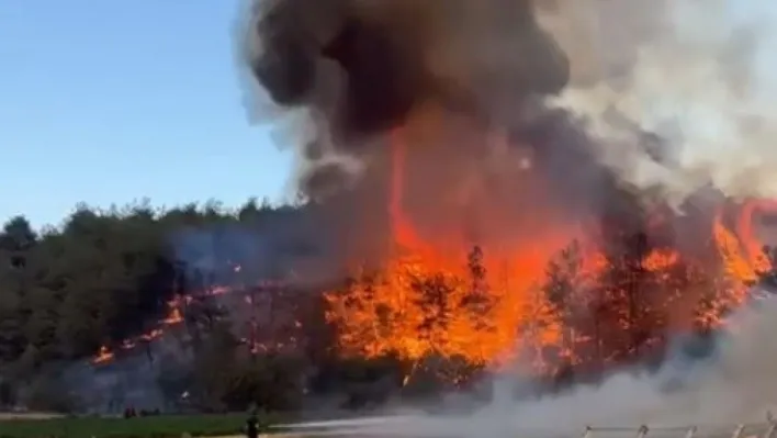 Medetli köyünde orman yangını başladı