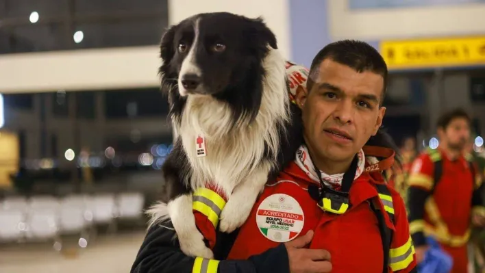 Meksika, meşhur arama kurtarma köpeklerini Türkiye'ye gönderdi