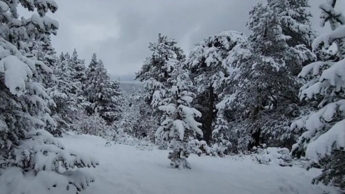 Meteoroloji'den 42 il için kar yağışı uyarısı