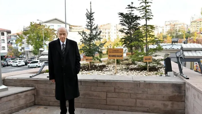 MHP'den dikkat çeken paylaşım: 'Bahçeli genel merkez önüne 'Biz Kardeşiz Ağaçları' dikti'