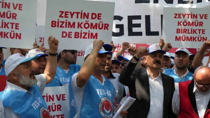 Milaslı muhtarlar ve TES-İŞ'ten Maden Yasası'na destek: 'Köylerimiz ve zeytinlerimiz yok olmayacak'