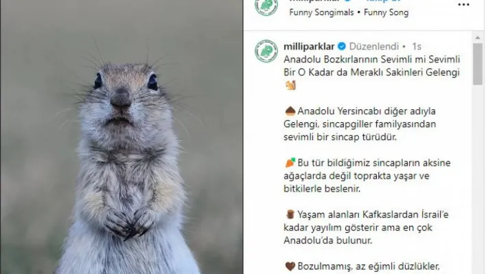 Milli Parklar'ın Anadolu yersincabı paylaşımı beğeni topladı