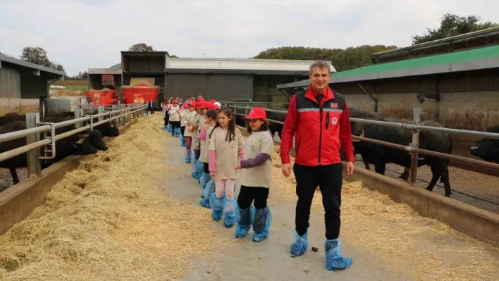 Minikler tarımı yerinde öğrendi