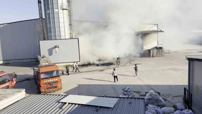 Mobilya üretim fabrikasında yangın: Ekipler, söndürmek için seferber oldu