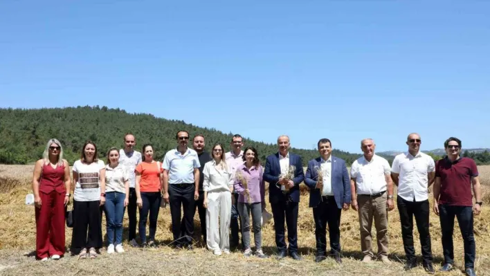 Mudanya'da buğday hasadı zamanı