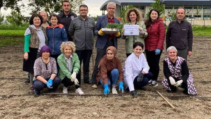 Mustafakemalpaşa MYO'dan yeşil dokunuş