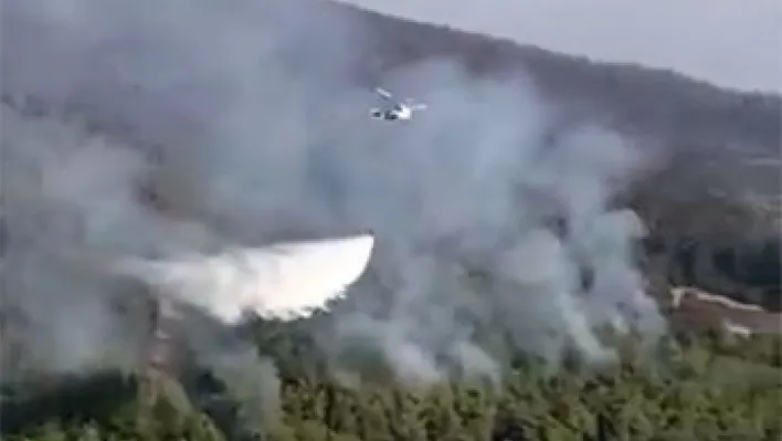 OGM: 'Adana İmamoğlu'nda orman dışı alanda başlayan yangını tamamen kontrol altına aldık'