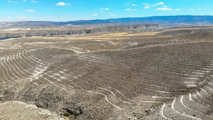 OGM: 'Ankara'da 600 futbol sahası büyüklüğünde alanda erozyona karşı set oluyoruz'