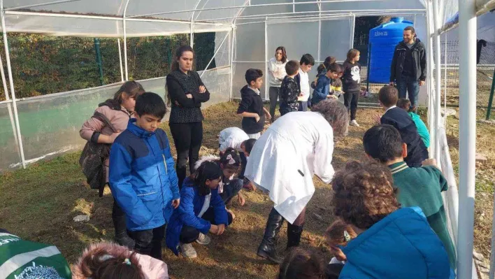 Okul bahçesi sera alanı oldu: Teneffüste tarım öğrenecekler