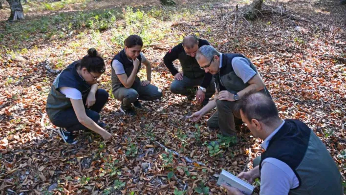 Orman Bölge Müdürü Kayıran Gönen'de