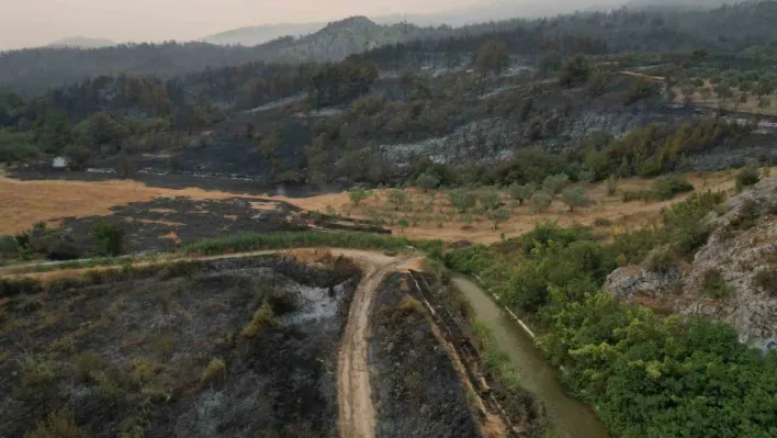 Orman yangını kabusunun ikinci günü: Ekipler çalışmalarına hız verdi