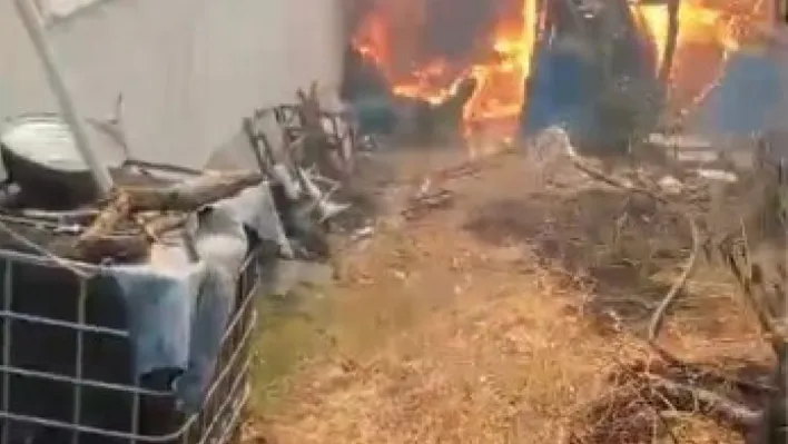 Orman yangını köye indi: 'Kaç, artık hiçbir şey yapamayız'