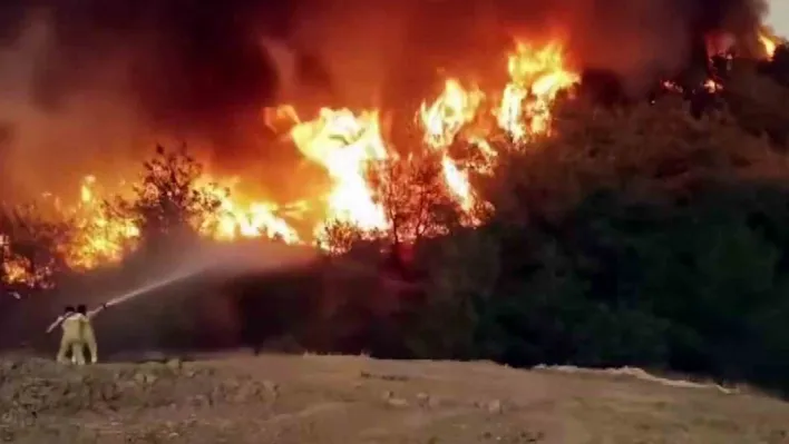 Orman yangınında nefes kesen görüntüler: Alevlerin içindeki direniş böyle görüntülendi