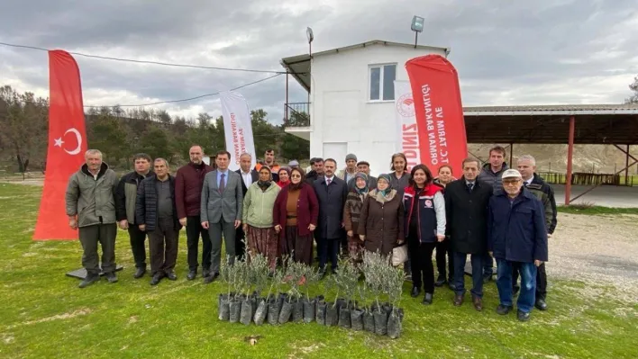 Orman yangınlarında zarar gören üreticilere 9 bin zeytin fidanı dağıtıldı