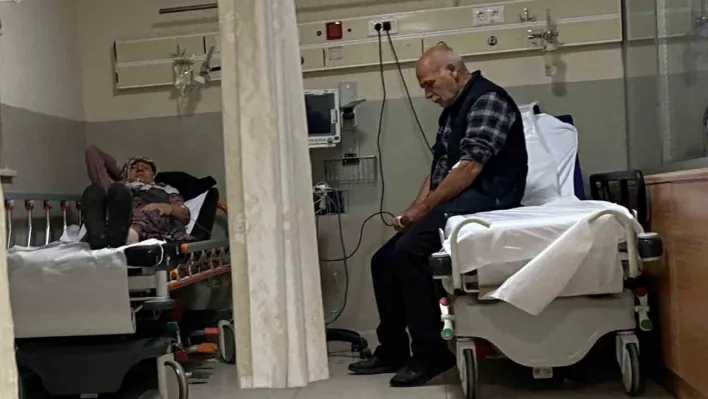 Ormandaki mantarları yiyen 7 kişi hastanelik oldu