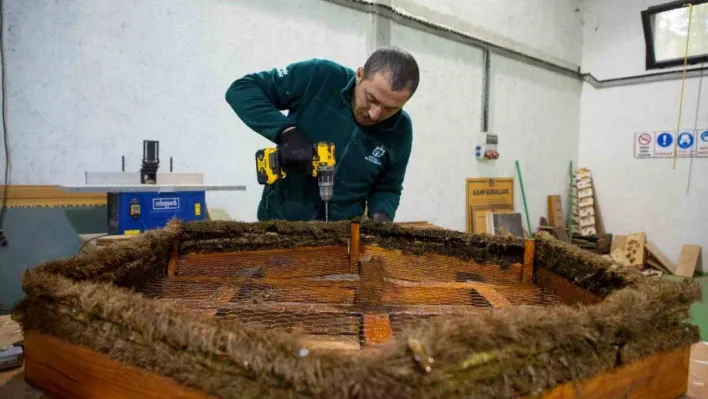 Ormanya'da engelli leylekler için özel proje