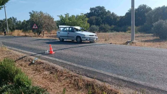 Otomobilin çarptığı emekli öğretim üyesi hayatını kaybetti