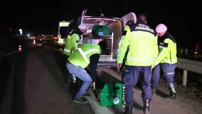 Otoyolda feci ölüm: Bir kişinin parçalanmış cesedi bulundu