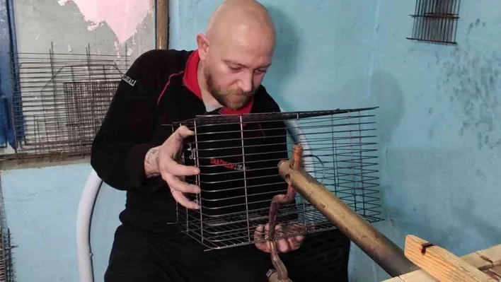 (Özel) Abi kardeş 70 metre kare atölyede Türkiye'nin kafes ihtiyacını karşılıyor